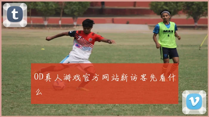 OD真人游戏官方网站新访客先看什么