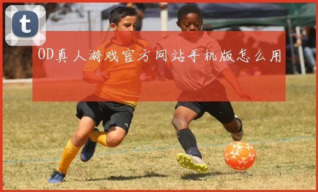 OD真人游戏官方网站手机版怎么用