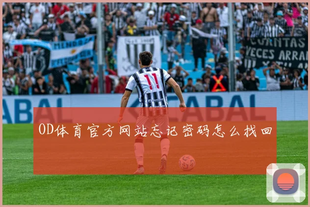 OD体育官方网站忘记密码怎么找回